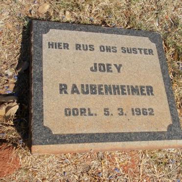 RAUBENHEIMER Joey -1962