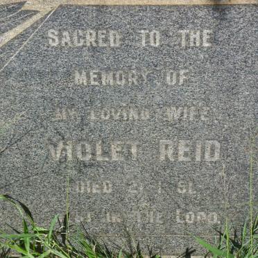 REID Violet -1951