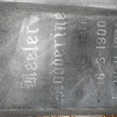 REELER Modderine 1900-1974
