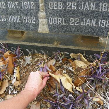 RENSBURG Elsie Maria Sophia, Janse van 1886-1968 :: JANSE VAN RENSBURG Petrus Johannes 1912-1952