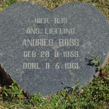 ROSS Andries 1959-1961