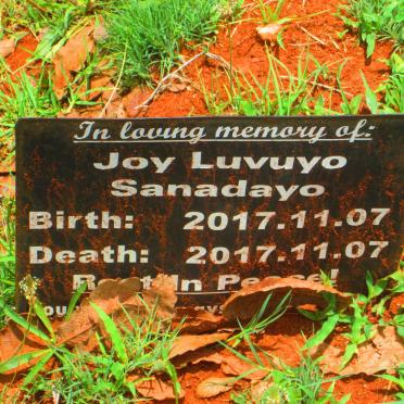 SANADAYO Joy Luvuyo 2017-2017