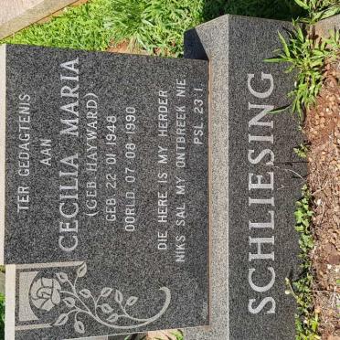 SCHLIESING Cecilia Maria nee HAYWARD 1948-1990