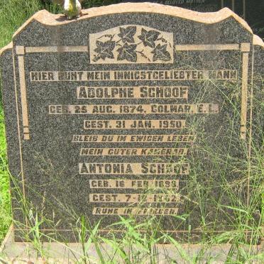SCHOOF Adolphe 1874-1950 &amp; Antonia 1898-1952