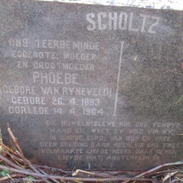 SCHOLTZ Phoebe nee VAN RYNEVELD 1893-1964