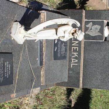 SENEKAL Jacobus Johannes V.Z. 1923-1958