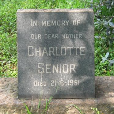 SENIOR Charlotte -1951