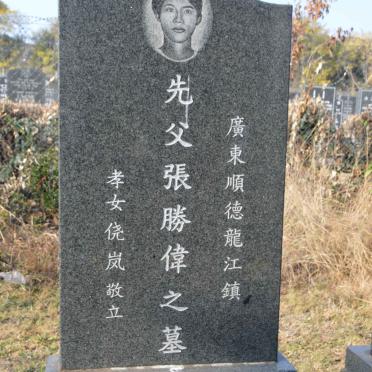 SHENGWEN Zhang 1979-2003