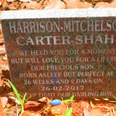 SHAH Harrison-Mitchelson, CARTER -2017