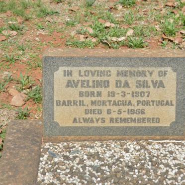 SILVA Avelino, da 1907-1956