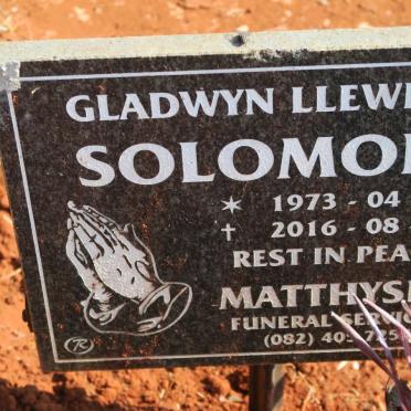 SOLOMONS Gladwyn Llewelyn 1973-2016