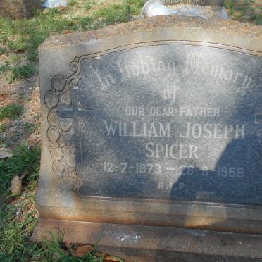 SPICER William Joseph 1873-1956