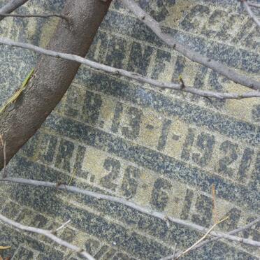 SPIES Gert Cornelis 1921-1946 _2