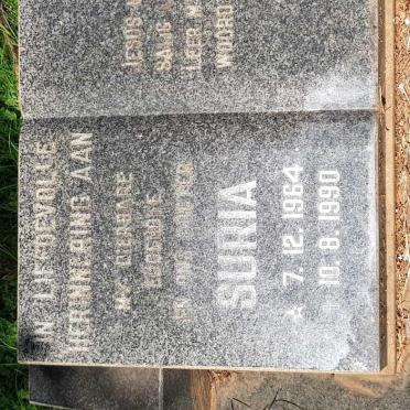 STANDER Suria 1964-1990