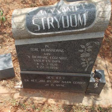 STRYDOM Wynand 1920-1976