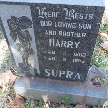 SUPRA Harry 1983-1983