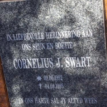 SWART Cornelius J. 1992-1995