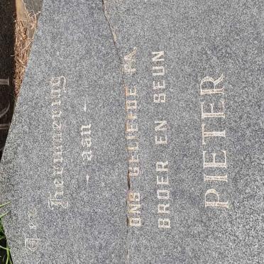SWART Pieter 1948-1995
