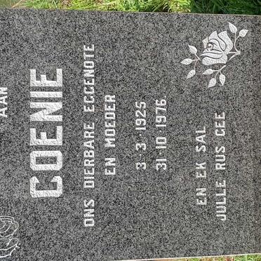 SWANEPOEL Hendrik Petrus 1923-2001 &amp; Coenie 1925-1976