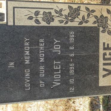 VICE Violet Joy 1895-1965