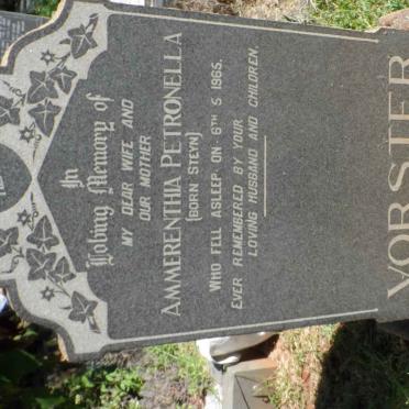 VORSTER Ammerenthia Petronella nee STEYN -1965