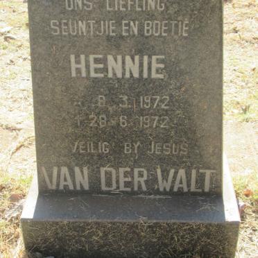 WALT Hennie, van der 1972-1972