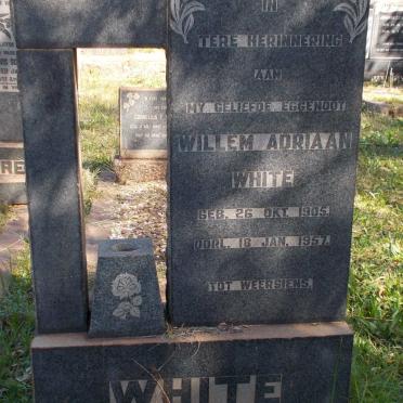 WHITE Willem Adriaan 1905-1957