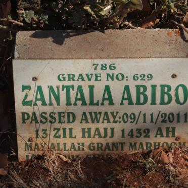 ABIBO Zantala -2011