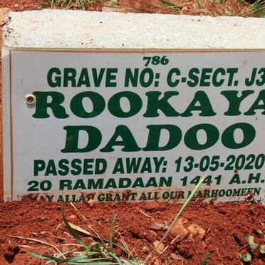 DADOO Rookaya -2020