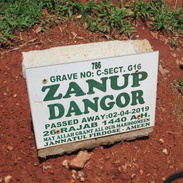 DANGOR Zanup -2019