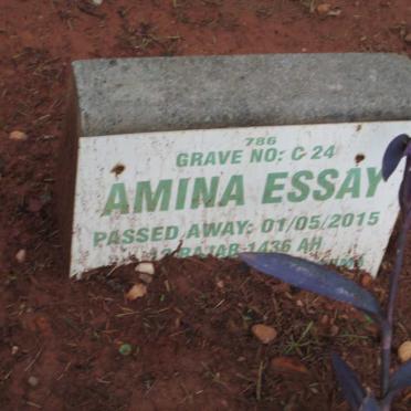 ESSAY Amina -2015