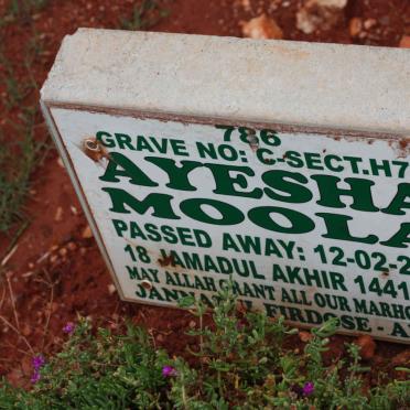 MOOLA Ayesha -2020