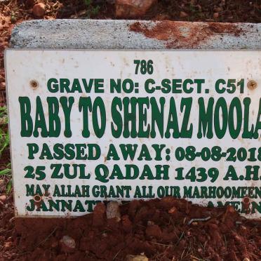 MOOLA Baby -2018