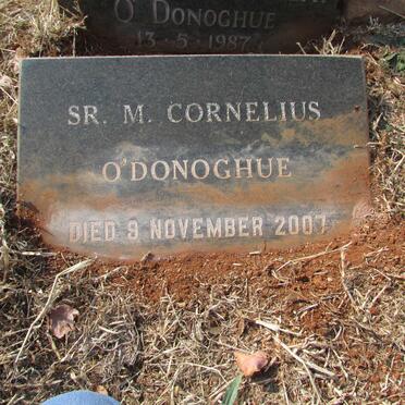 O'DONOGHUE M. Cornelius -2007