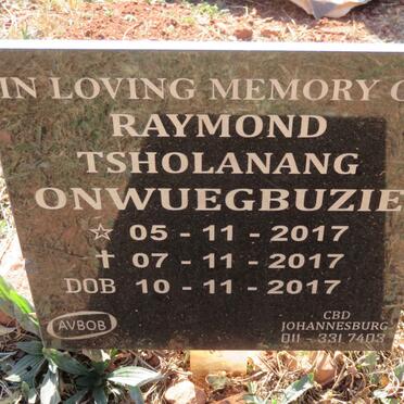 ONWUEGBUZIE Raymond Tsholanang 2017-2017