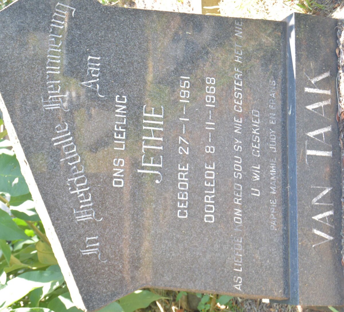 TAAK Jethie, van 1951-1968