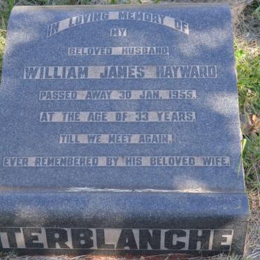 TERBLANCHE William James Hayward -1955