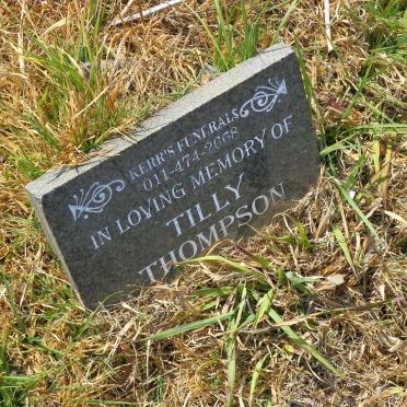 THOMPSON Tilly