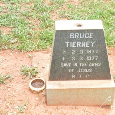 TIERNEY Bruce 1977-1977