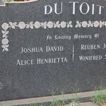 TOIT Joshua David, du &amp; Alice Henrietta :: TOIT Reuben Joshua, du &amp; Winifred Sayce