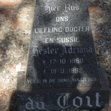 TOIT Hester Adriana, du 1960-1962