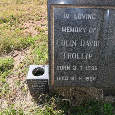 TROLLIP Colin Davin 1936-1966 &amp; Adelaide 1943-2004