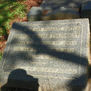 TREURNICHT Cornelia Jacoba nee VAN NIEKERK 1922-1959