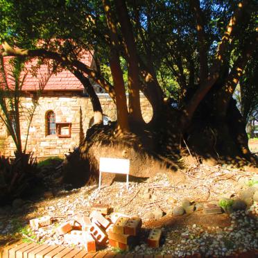 1. Overview / Oorsig Belhambra Memorial Tree