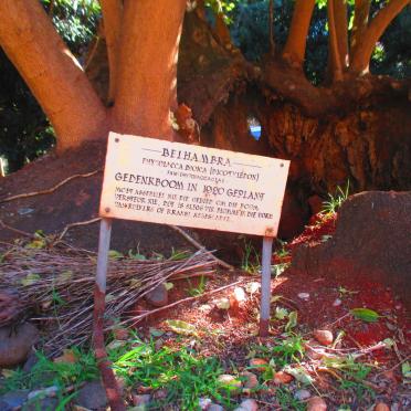 2. Overview / Oorsig Belhambra Memorial Tree