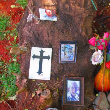 02. Belhambra Memorial Tree 
