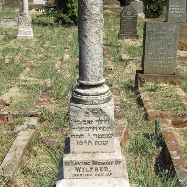 RATZKER Wilfred -1907
