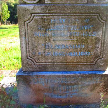 CIAFFREY Albert 1860-1892 :: McNILLTY Sebastian 1847-1893