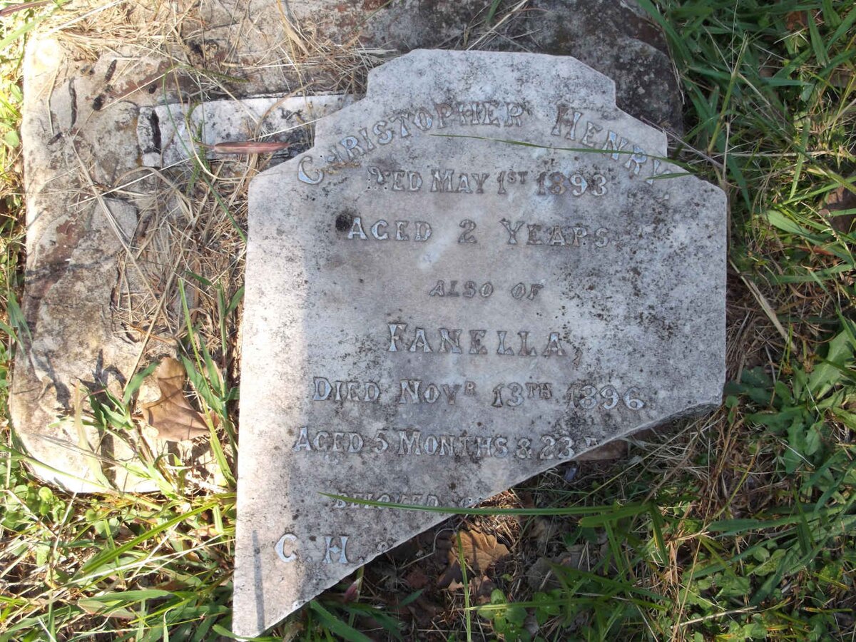 ? Christopher Henry -1893 :: ? Fanella -1896