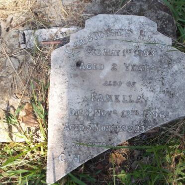 ? Christopher Henry -1893 :: ? Fanella -1896